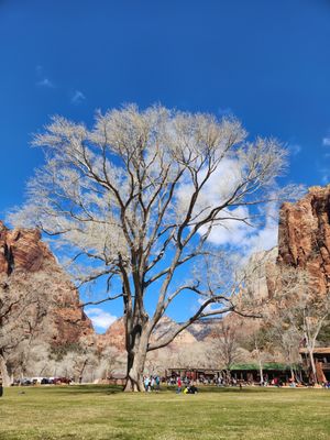 Zion National Park Lodge by null