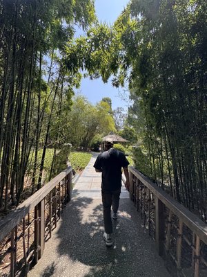 The Huntington Japanese Garden by null