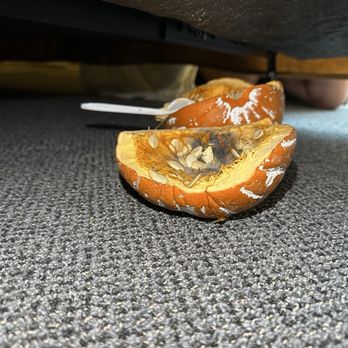 Dana Point Marina Inn - Rotting pumpkin under the bed - Hotels Near Me - Dana Point, California
