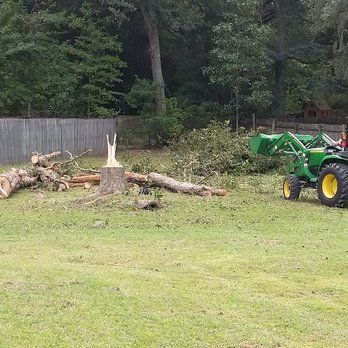 Justin E Holmes Handyman and Landscaping - Pecan tree After - Handyman Near Me