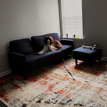 Terry's Carpet Care - Carpet Cleaning Near Me - Lexington, Kentucky Terry's Carpet Care - Carpet Cleaning Near Me - Lexington, Kentucky