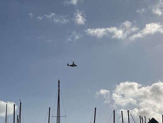 Coronado Golf Course by null