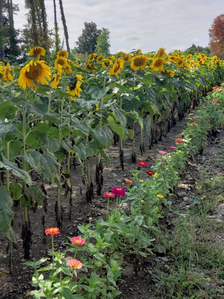 ENGELKE FARM Updated August 2024 17 Photos & 10 Reviews 463