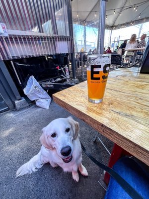 E9 Brewing Co. & Taproom by null