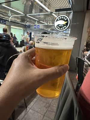 Goose Island by null