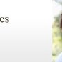 Photo of Neil R. Karnofsky, DDS