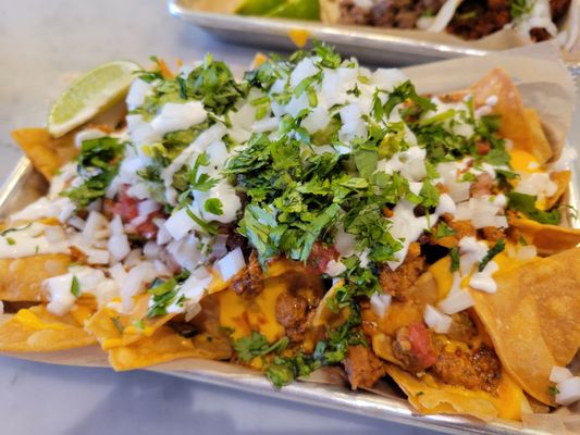 Tight Tacos Authentic Street Taquero by null