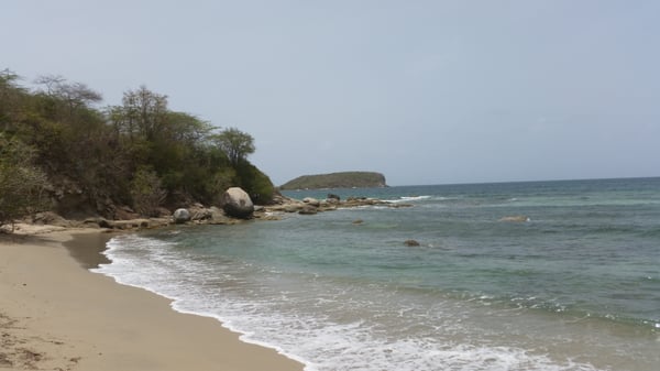 The Vieques Guesthouse by null