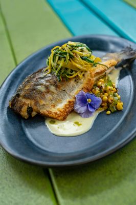 The Daily Dish by null