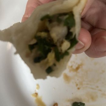 Mad Noodles - Inside Mr Wang dumpling nicely stuffed - Bubble Tea Near Me - Pittsburgh, Pennsylvania