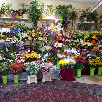 Blumen Renate Petrides - Blumen Renate Petrides 1180 Wien - Floral Designers Near Me - Vienna, 9