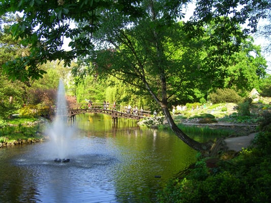 Botanical Garden of the University of Wrocław by null