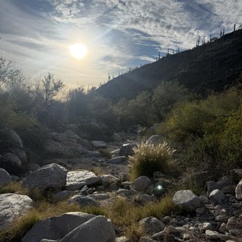 Pima Canyon Trail - Hiking Near Me - Tucson, Arizona Pima Canyon Trail - Hiking Near Me - Tucson, Arizona