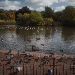 Alexandra Park