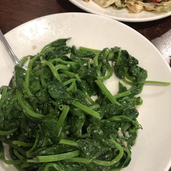 Shanghai Dumpling King - pea sprouts - Shanghainese Near Me - San Francisco, California Shanghai Dumpling King - pea sprouts - Shanghainese Near Me - San Francisco, California