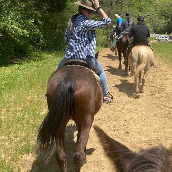 Davy Crockett Riding Stables - Horseback Riding Near Me - Townsend, Tennessee Davy Crockett Riding Stables - Horseback Riding Near Me - Townsend, Tennessee