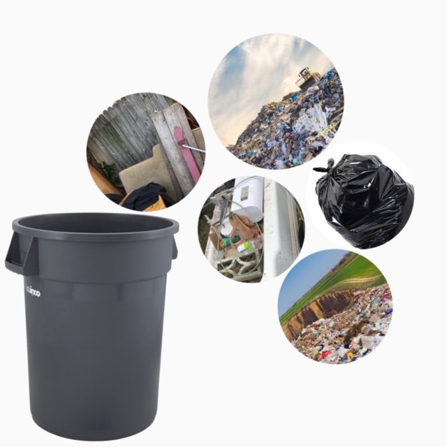 KING DAVID JUNK REMOVAL AND PROPERTY CARE SERVICE Sarasota, Florida