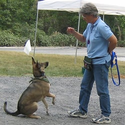Doggone Leash Dog Training - Off leash training.