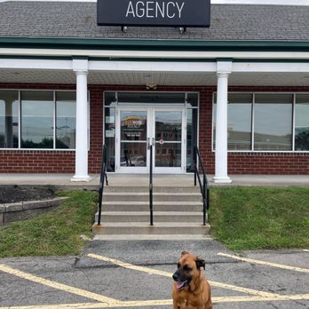 Elmwood Agency - Home & Rental Insurance Near Me - Rochester, New York Elmwood Agency - Home & Rental Insurance Near Me - Rochester, New York