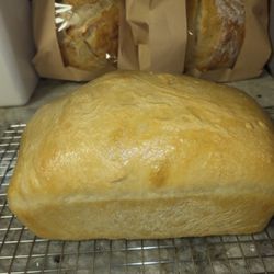 Shiloh's Oven