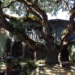 Living Rock Studio Museum - 300 hundred year old white oak!