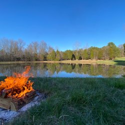 Nighthawk Forest - The pond with forest in the distance.