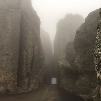Custer State Park - Parks Near Me - Custer, South Dakota