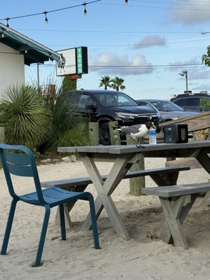 Pico Taqueria by null