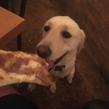 Pie Tap Pizza + Rotisserie + Bar - Mmm best pizza in town - Pizza Near Me - Dallas, Texas Pie Tap Pizza + Rotisserie + Bar - Mmm best pizza in town - Pizza Near Me - Dallas, Texas