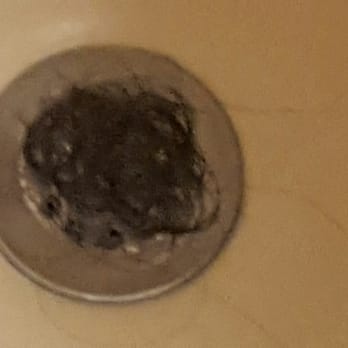 Great Wolf Lodge - Hair in drain when we checked in.. and we checked in late. ... - Resorts Near Me - Williamsburg, Virginia Great Wolf Lodge - Hair in drain when we checked in.. and we checked in late. ... - Resorts Near Me - Williamsburg, Virginia