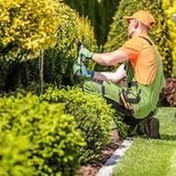 Concept Landscaping - untitled