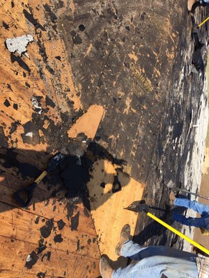 Taurus Contracting Services Logo