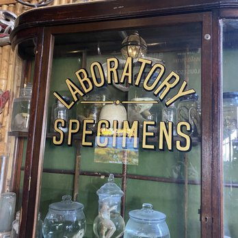St Louis Escape - Cute display case with bio lab things in it - Escape Games Near Me - St. Louis, Missouri St Louis Escape - Cute display case with bio lab things in it - Escape Games Near Me - St. Louis, Missouri