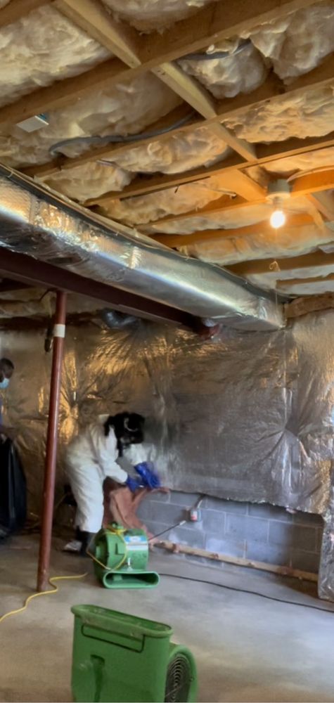 Watery Dewing Disaster Restoration - mold inspector in Nottingham, MD