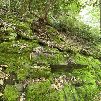 Mingo Falls - Hiking Near Me - Cherokee, North Carolina