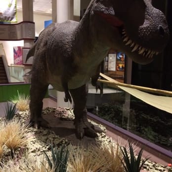RMSC Museum & Science Center - Dinos!! Exhibit starts Oct. 25th - Museums Near Me - Rochester, New York RMSC Museum & Science Center - Dinos!! Exhibit starts Oct. 25th - Museums Near Me - Rochester, New York
