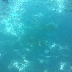 Poolwerx Cypress - And now my plaster is stained because the dirt wasn't being cleaned for weeks on end even though I was still being billed $45/week.