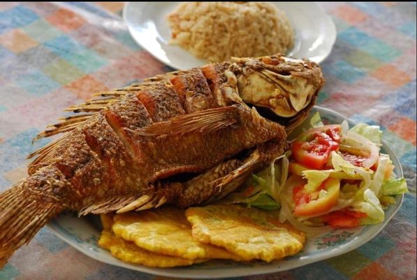 Rosita's TO GO by null