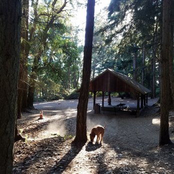 Point Defiance Park - Gazebo with water and huge play area also small play area for smaller dogs - Parks Near Me - Tacoma, Washington