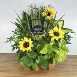 Graci's Flowers