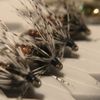 Mad River Outfitters gift card