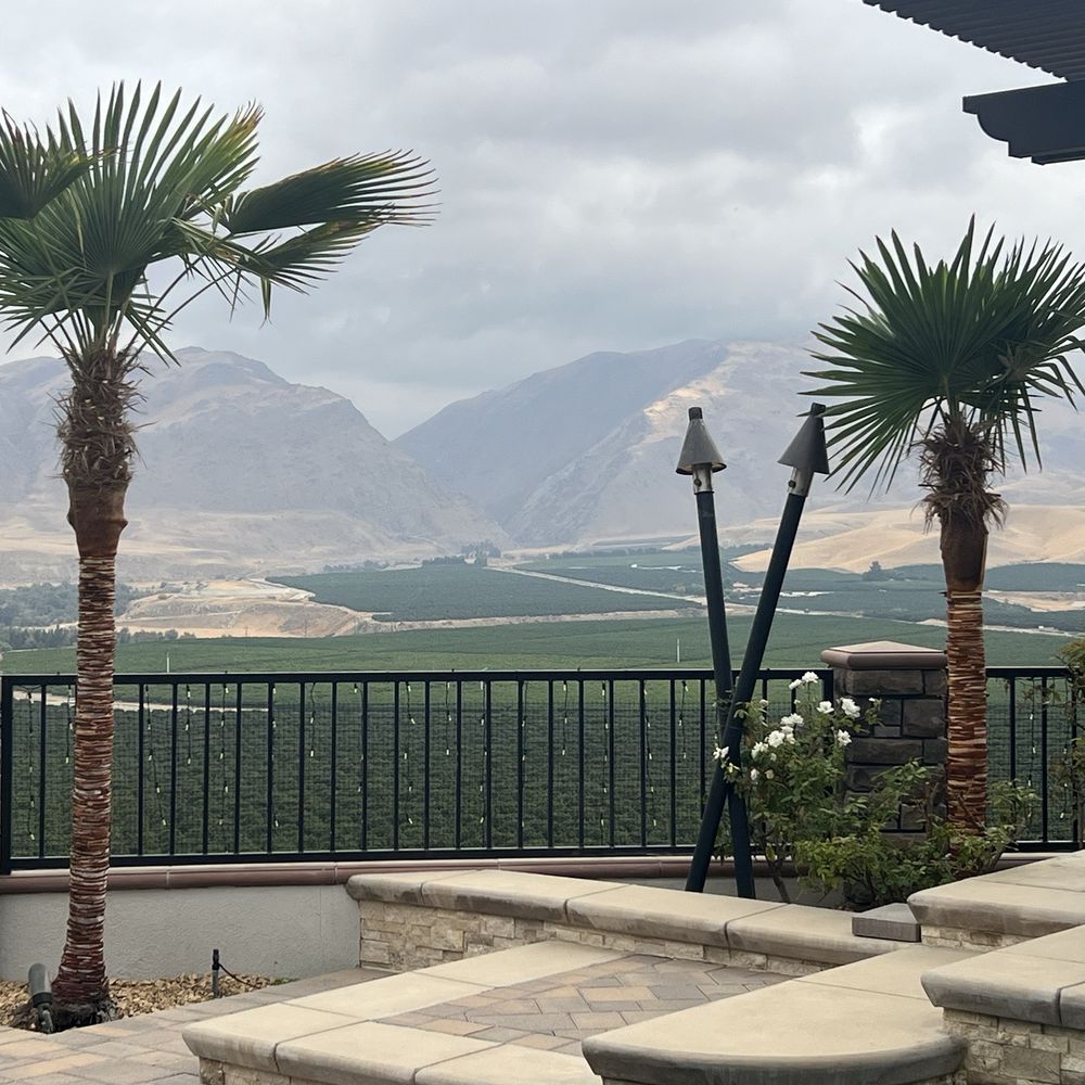 Empire Tree Service - These are so much cleaner now that the trunks are skinned. Love em! - Tree Services Near Me Empire Tree Service - These are so much cleaner now that the trunks are skinned. Love em! - Tree Services Near Me