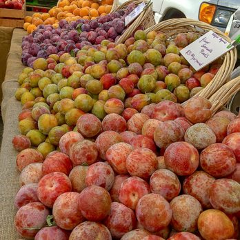 Studio City Farmers Market - Studio City farmers market - best way to start a Sunday - Farmers Market Near Me - Studio City, California