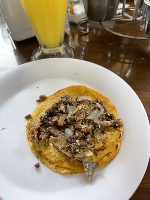 Tacos Rigo by null
