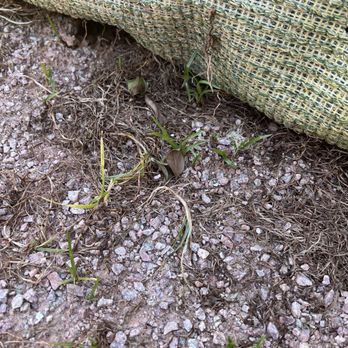Always Green Turf - Artificial Turf Near Me - Mesa, Arizona
