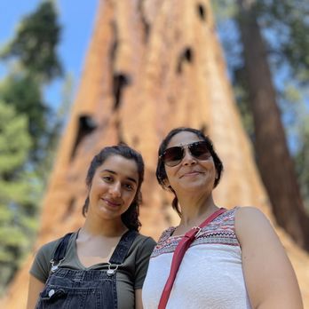 Big Trees Trail - Hiking Near Me - Three Rivers, California Big Trees Trail - Hiking Near Me - Three Rivers, California