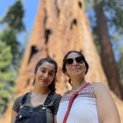 Big Trees Trail