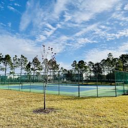 Timber Springs Community park - Tennis Courts