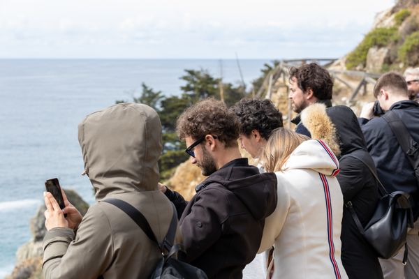 Julia Pfeiffer Burns State Park by null