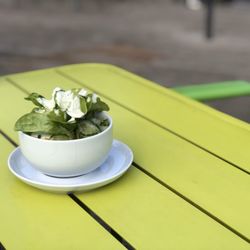 Maislabyrinth - Gut Hügle - Beilagensalat